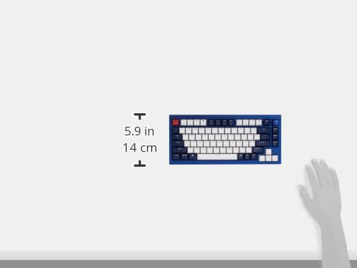 Keychron Q1 RGB Wired Custom Mechanical Keyboard, 75% Layout RGB Backlight with Hot-swappable Gateron G Pro Brown Switch Double Gasket Compatible with Mac Windows Linux (Blue) -Version 2