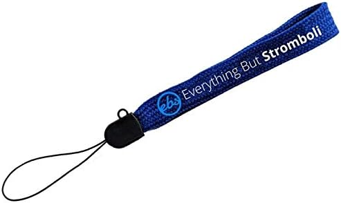 SanDisk 1TB Flash Drive (Bulk 2 Pack) Ultra Dual Drive Luxe USB Type-C for Smartphones, Tablets, and Computers - High Speed USB 3.1 (SDDDC4-1T00-G46) Bundle with (1) Everything But Stromboli Lanyard