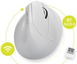 DELUX Wireless Ergonomic Mouse, Vertical Mouse for Small Hand, Silent Click Ergonomic Mouse, Up to 4000 DPI, 6 Buttons, BT 5.0/2.4G Dual Mode, for Carpal Tunnel, for Laptop/PC (M618MINI DB-White)