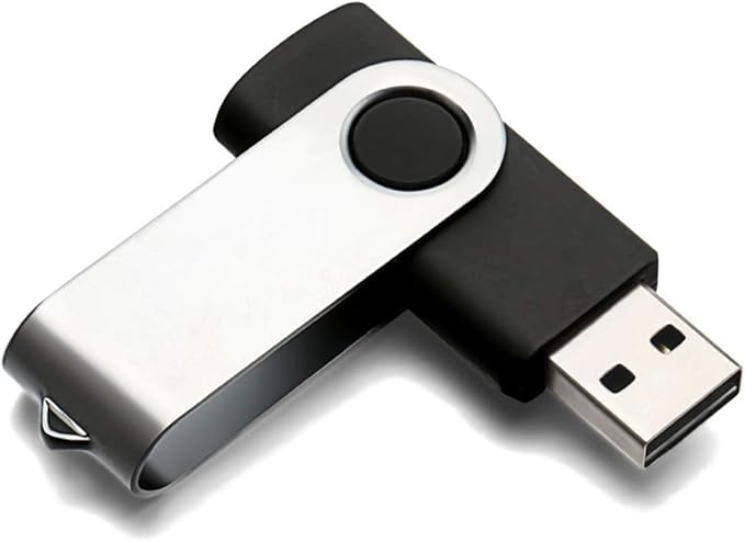 USB Flash Drive 2GB 100 Pack, Bulk USB 2.0 Flash Drives Thumb Drive Swivel Memory Stick Jump Drive Pen Drive,2 gig 100 Pieces