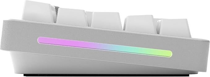 GLORIOUS GMMK Mechanical Numpad- 10 Key USB Programmable Keypad - Hot Swappable, Volume Control, RGB Backlit, Wired & Wireless Bluetooth - Laptop & Keyboard Accessories- White