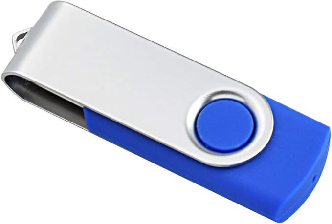 Aiibe 10 Pack 4GB Flash Drive USB Flash Drive Thumb Drives USB 2.0 Memory Stick Wholesale/Lot/Bulk (4GB, 10 Pack, Blue)