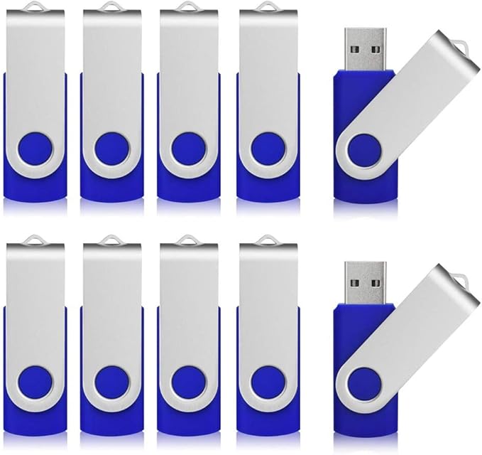 Aiibe 10 Pack 4GB Flash Drive USB Flash Drive Thumb Drives USB 2.0 Memory Stick Wholesale/Lot/Bulk (4GB, 10 Pack, Blue)