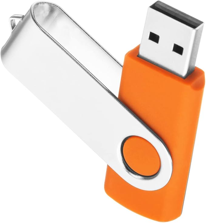 1GB USB Flash Drive 1PCS, EASTBULL USB 2.0 Thumb Drive Swivel USB Stick Memory Stick Metal Thumb Drive (Orange)