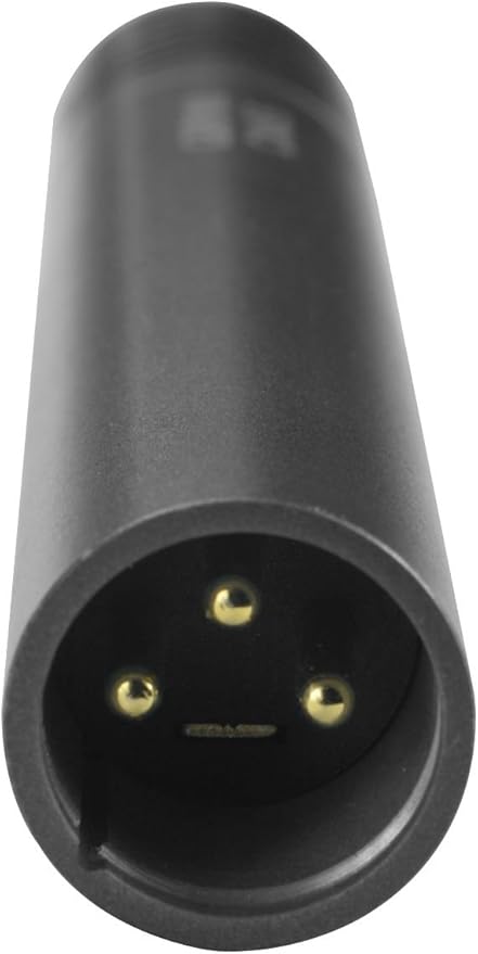HEIMU Professional Condenser Microphone (Condenser Mic)