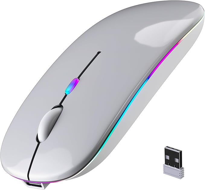 Wireless Bluetooth Mouse, Rechargeable, LED, Silent, Ultra-thin Design (Bluetooth 5.2 and 2.4GHz USB Receiver) | Portable Computer Mouse for Laptops, iPads, MacBooks and Apple Devices (Silver)