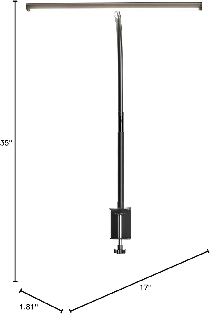Airlonv LED Desk Lamp for Office Home, Eye-Caring Desk Light with Stepless Dimming Adjustable Flexible Gooseneck, 10W USB Adapter Desk Lamp with Clamp for Reading, Study, Workbench (Black)