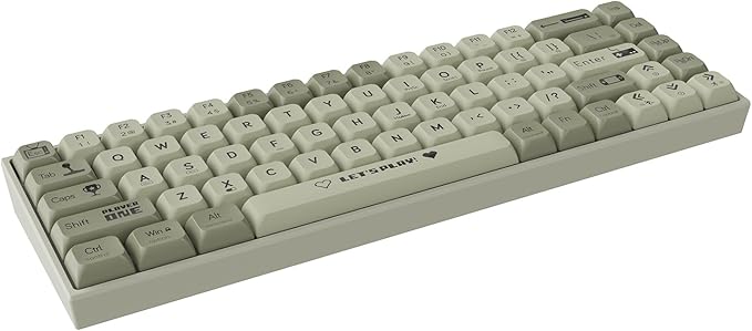 AK680 Wired Compact Mechanical Keyboard, 68 Keys Grey-White Layout, Hot-Swappable Tactile Brown Switch Gaming Keyboard with Multicolor Backlight, Eva Foam Dampening, for Gaming & Typing
