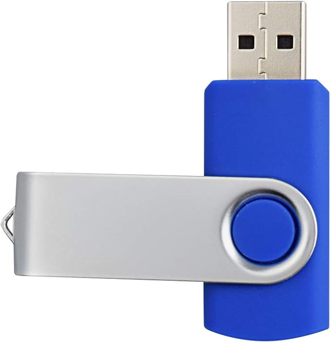 Aiibe 10 Pack 4GB Flash Drive USB Flash Drive Thumb Drives USB 2.0 Memory Stick Wholesale/Lot/Bulk (4GB, 10 Pack, Blue)