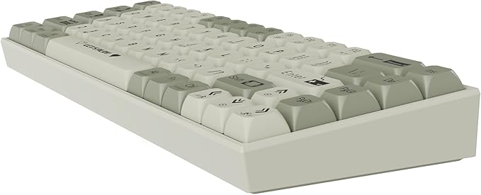 AK680 Wired Compact Mechanical Keyboard, 68 Keys Grey-White Layout, Hot-Swappable Tactile Brown Switch Gaming Keyboard with Multicolor Backlight, Eva Foam Dampening, for Gaming & Typing
