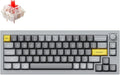 Keychron Q2 Wired 65% Mechanical Keyboard with Knob & RGB - Hot-Swappable Gateron G Pro Red Switch, QMK/VIA Programmable, Double Gasket Mount, Aluminum Body for Mac/Windows/Linux (Grey)