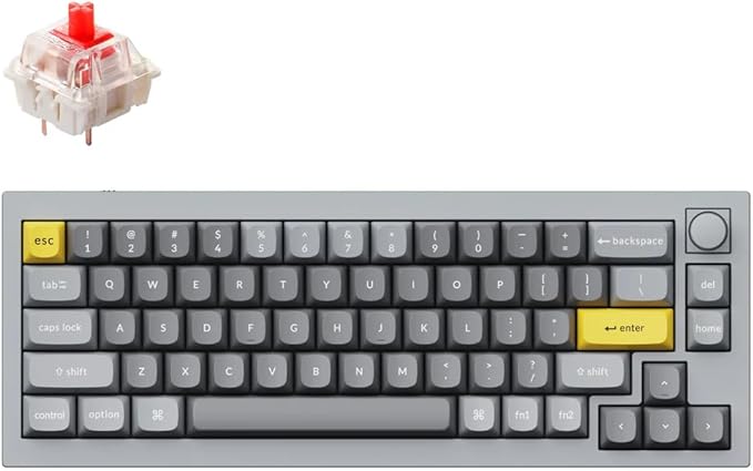 Keychron Q2 Wired 65% Mechanical Keyboard with Knob & RGB - Hot-Swappable Gateron G Pro Red Switch, QMK/VIA Programmable, Double Gasket Mount, Aluminum Body for Mac/Windows/Linux (Grey)