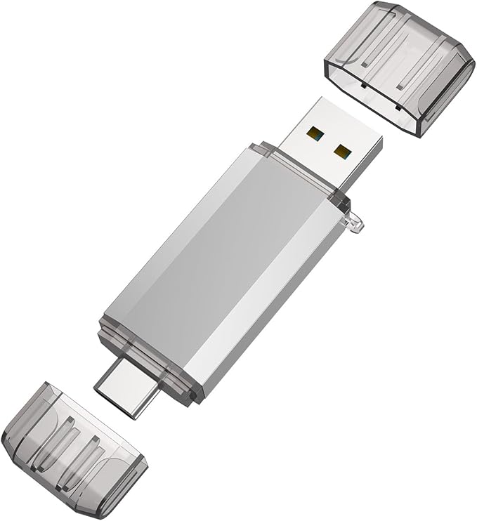 RAOYI 512GB USB C Flash Drive, 2 in 1 USB 3.0 Type C Dual OTG Metal Thumb Drive Jump Drive Memory Stick with Keychain Suitable for USB-C Smartphones, MacBook, Computers and Tablets (Silver)