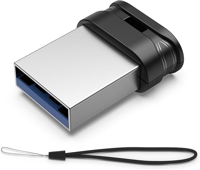 RAOYI USB Stick 256GB USB 3.0 Flash Drive with Lanyard, 256G Mini Fit Memory Stick Ultra Slim Thumb Drive Zip Drive for PC Desktop-Black