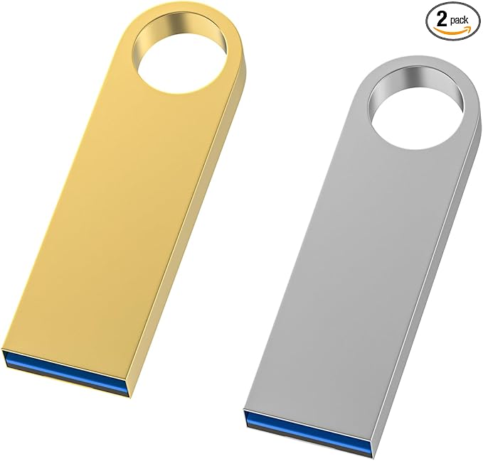 USB 3.0 Flash Drive 64GB 2 Pack, Wooolken High Speed USB 3.0 Thumb Drives Sleek Metal Flash Drives with Keychains, Memory Stick, USB Drive for PC/Computers/Mac/Laptops