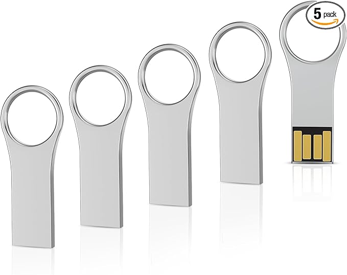 RAOYI 5 Pack 64GB Metal Key Shape USB Flash Drive, USB 2.0 Memory Stick Thumb Drives Jump Drive for PC Laptop Desktop Computer-Silver