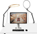 NEEWER Basics 2 Pack 10.5" Streaming Key Lighting, 3000-6500K 15W Full Screen LED Panel Ring Light with Adjustable Arm Stand Desk Clamp Timer for Laptop Computer Video Conference Zoom Makeup, R10