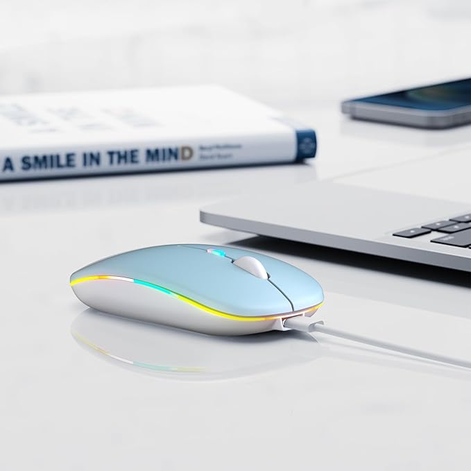 Wireless Bluetooth Mouse, Rechargeable, LED, Silent, Ultra-thin Design (Bluetooth 5.2 and 2.4GHz USB Receiver) | Portable Computer Mouse for Laptops, iPads, MacBooks and Apple Devices (blue)