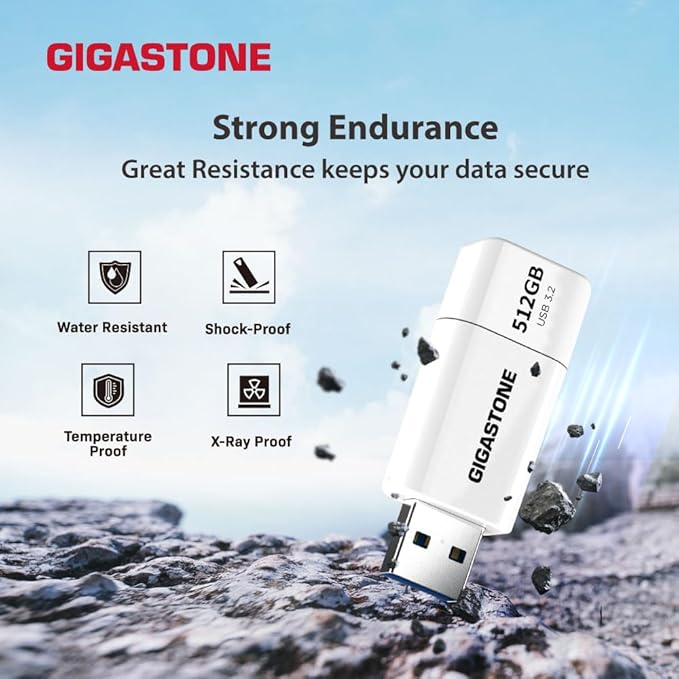 GIGASTONE 256GB Flash Drive, Z60 USB 3.2 Gen 1, 120MB/s Ultra Fast, Retractable Capless Slider Design, Data Storage, Backup for PC/Mac/TV/Car Audio, USB 2.0/3.0/3.1 Compatible