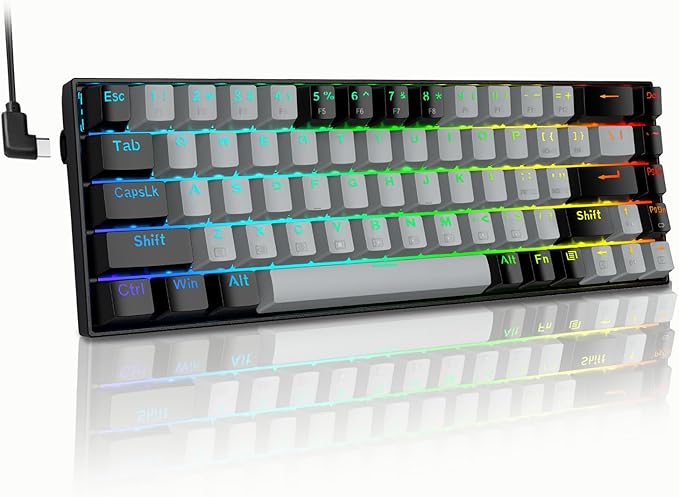 XUANGUI Full RGB Backlit Mechanical Keyboard Wired Metal Computer Key Board, 65% Cute PC Gaming Keyboards Hot Swappable Rainbow Colorful Light Up Leyboard for Typist and Gamer, Work with Mac PS5 Xbox