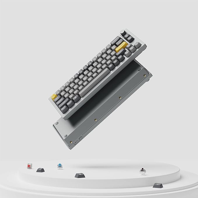 Keychron Q2 Wired Custom Mechanical Keyboard Knob Version, 65% Layout QMK/VIA Programmable Macro with Hot-swappable Gateron G Pro Red Switch Double Gasket Compatible with Mac Windows Linux (Grey)