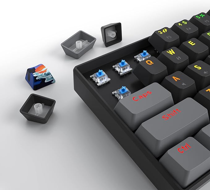 Owpkeenthy Wired 60% Percent Mechanical Gaming Keyboard with Blue Switch Ultra Compact RGB Gaming Keyboard Backlit Keys N-Key Rollover for PC Gamer (Dark/Blue Switch)