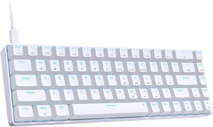 DIERYA T68SE 60% Gaming Mechanical Keyboard,Ultra Compact Mini 68 Key with Blue Switches Wired Keyboard,Anti-Ghosting Keys, for Windows Laptops and PC Gamers,White
