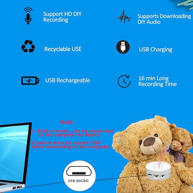 16 Minutes Voice Recorder, Record Custom Message for Crafts, Stuffed Bear, Baby Doll, and Pillow