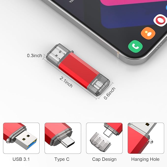 RAOYI 256GB USB C Flash Drive Upgraded 130MB/s 2 in 1 USB 3.1 Type C Dual OTG Metal Thumb Drive Memory Stick with Keychain Suitable for USB-C Smartphones, PC, Macbooks and Tablets (Red)