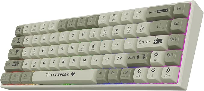 AK680 Wired Compact Mechanical Keyboard, 68 Keys Grey-White Layout, Hot-Swappable Tactile Brown Switch Gaming Keyboard with Multicolor Backlight, Eva Foam Dampening, for Gaming & Typing