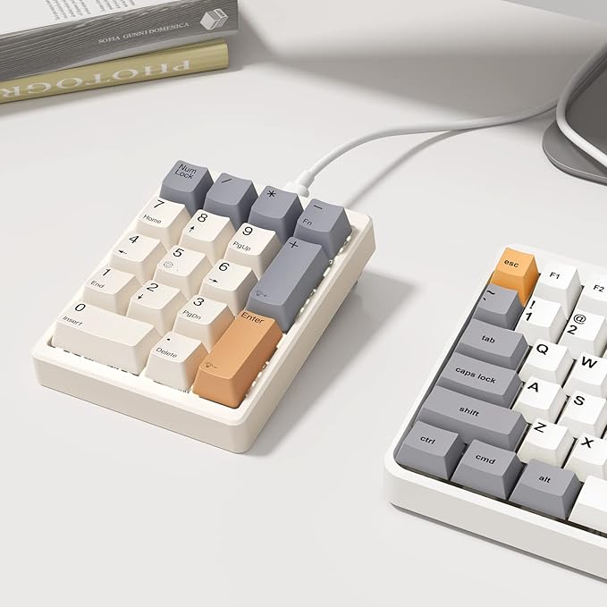Kisnt KN17 Wired Mechanical Number Pad- 17 Keys Hot Swappable Numpad with White Backlight& PBT Keycaps for Laptop PC Compact Keyboards(Retro Beige, Blue Switch)