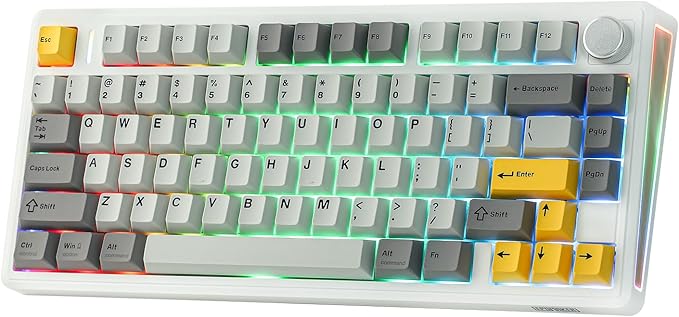 EPOMAKER TH80 V2 75% Wireless Mechanical Keyboard with Metal Knob, 8000mAh, 2.4Ghz/BT/USB-C, RGB, Hot Swap, Custom Driver, PBT Keycap, Wireless Gaming Keyboard for PC/Mac (White, Sea Salt Silent)
