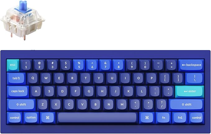Keychron Q4 Wired Custom Mechanical Keyboard, QMK/VIA Programmable Macro, Full Aluminum, Hot-Swappable Gateron G Pro Blue Switch, 60% Layout Double Gasket Compatible with Mac and Windows - Blue