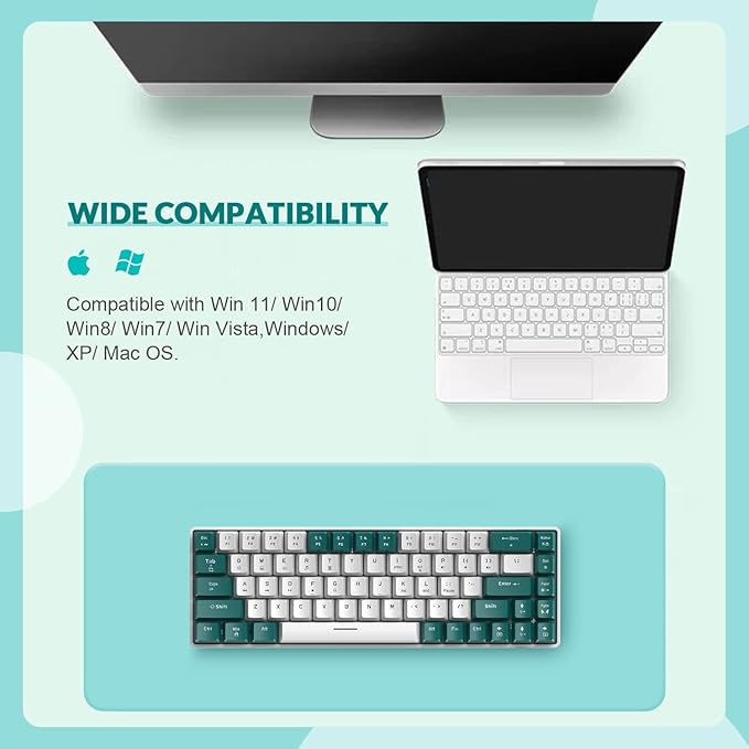 ZIYOU LANG RK-T8 Wired 65% Mechanical Gaming Keyboard with RGB LED Backlit Anti-ghosting TKL Mini 68 Key Custom Coiled C to A Cable Tactile Blue Switch for PS4 PS5 Xbox PC Mac Gamer(Green/White)