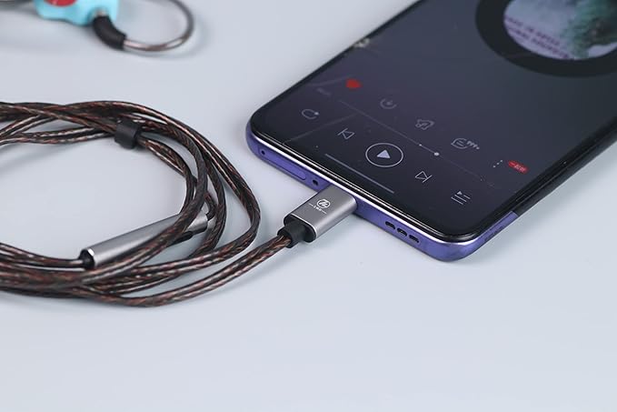 Linsoul 7Hz Salnotes Zero HiFi 10mm Dynamic Driver in-Ear Earphone IEM with Metal Composite Diaphragm Stainless Steel Faceplate Detachable 2Pin OFC Cable (Red, with Mic, Type C)