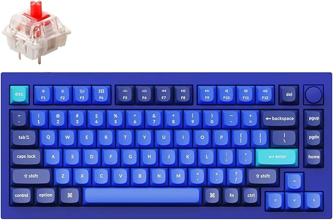 Keychron Q1 RGB Wired Custom Mechanical Keyboard, 75% Layout RGB Backlight with Hot-swappable Gateron G Pro Red Switch Double Gasket Compatible with Mac Windows Linux (Blue) -Version 2
