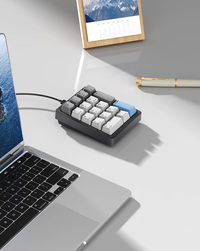 Kisnt KN17 Wired Mechanical Number Pad- 17 Keys Hot Swappable Numpad with White Backlight& PBT Keycaps for Laptop PC Compact Keyboards (Black, Brown Switch)