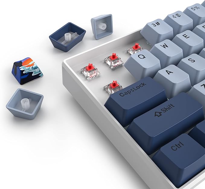 Owpkeenthy 65 Percent Mechanical Gaming Keyboard Hammerhead Shark with Red Switch Ultra Compact RGB Wired 60% Gaming Keyboard N-Key Rollover for PC Gamer Box PS