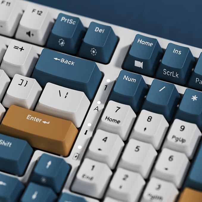 RK ROYAL KLUDGE RK98 Wireless Mechanical Keyboard, Triple Mode 2.4G/BT5.1/USB-C Hot Swappable Keyboard with Number Pad, Pre-lubed Clicky Switches RGB Backlit Gaming Keyboard, Software Support