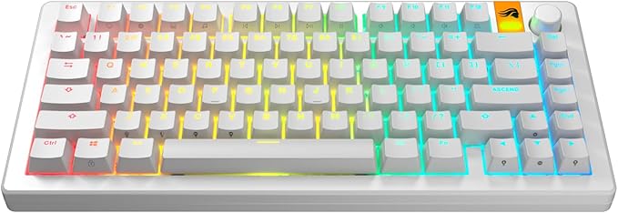 Glorious Gaming - GPBT Backlit Keycaps (White) Translucent Shine Through Legends, Fits 100%, 75% 65% 60% Custom Mechanical Gaming Keyboards, Fits ANSI, ISO, Windows & macOS, English (US)