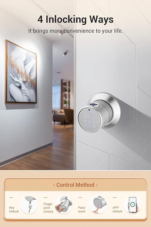 Buoan Big Fingerprint Smart Door Knob, Keyless Entry Door Lock with Handle, with Keyboard, Bluetooth, App, Easy to Install, Suitable for Hotels, Bedrooms, Study, Offices