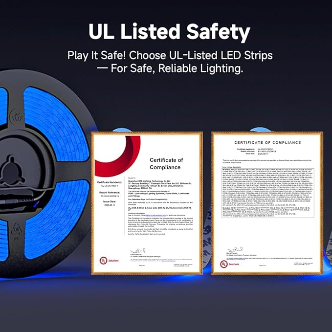 BTF-LIGHTING FCOB IP65 Waterproof Blue Color COB LED Strip 16.4FT DC24V 480LED/m 8mm Width Flexible High Density CRI 90+ Dimmable LED Light for Home Indoor Decor(No Controller or Adapter)