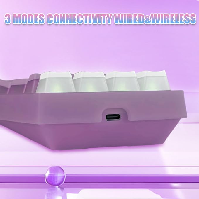 BOYI TD21 HotSwap Mechanical Numeric Keypads,21 Keys Mini Numpad Portable Keypad BT5.0/2.4G/Wired Keyboard RGB Number Pad Wireless Numeric Keypad(Purple Color with OEM Profile Pudding Keycaps)