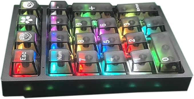 BOYI TD21 Hot Swappable Numpad,21 Keys Mini Numpad Portable Keypad Bluetooth 5.0/2.4GHz/Wired Number Pad Keyboard PBT Keycaps RGB Backlit Type-C Mini Keyboard(Black Transparent Keycaps)