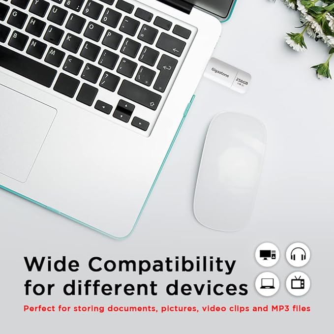 GIGASTONE 256GB Flash Drive, Z60 USB 3.2 Gen 1, 120MB/s Ultra Fast, Retractable Capless Slider Design, Data Storage, Backup for PC/Mac/TV/Car Audio, USB 2.0/3.0/3.1 Compatible