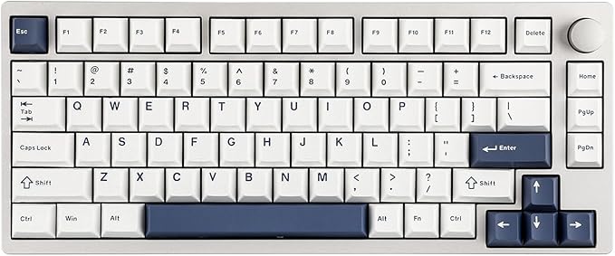 EPOMAKER P75 Wireless Aluminum Mechanical Keyboard, BT 5.0/2.4GHz/USB-C Hot Swappable Custom Keyboard, Gasket Structure, RGB Backlit, for PC/Tablet/PS/Xbox (Silver, Wisteria Linear Switch)