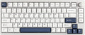 EPOMAKER P75 Wireless Aluminum Mechanical Keyboard, BT 5.0/2.4GHz/USB-C Hot Swappable Custom Keyboard, Gasket Structure, RGB Backlit, for PC/Tablet/PS/Xbox (Silver, Wisteria Linear Switch)