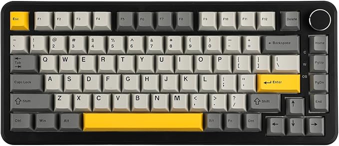 MechLands AJAZZ AK820 MAX HE Hall Effect Magnetic Gaming Keyboard, Adjustable Actuation, 8KHz Polling Rate, Wired Rapid Fast Keyboard, Creamy Gasket, RGB Backlight, NKRO for Win/Mac (Black)