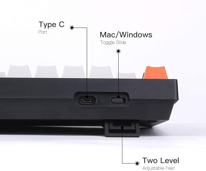 Keychron C1 Wired Mechanical Keyboard TKL, 87-Key RGB Backlit Hot-Swappable Keyboard with Gateron G Pro Brown Switches, Double-Shot ABS Keycaps, USB-C, Mac & Windows Compatible