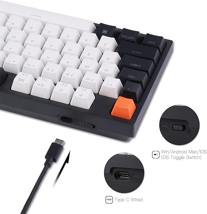 Keychron C1 Hot-swappable Wired Mechanical Computer Keyboard with Gateron G Pro Brown Switch/Double-Shot ABS Keycaps/White Backlight/USB Type-C Cable, Tenkeyless 87 Keys for Mac Windows PC